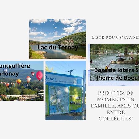Апартаменты L'Ecrin Des Ecoles Сен-Рамбер-д'Альбон Экстерьер фото